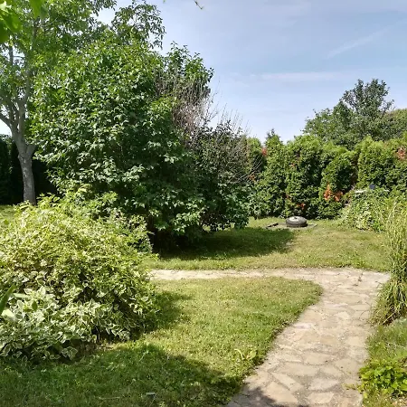 Hermann * Кестхей