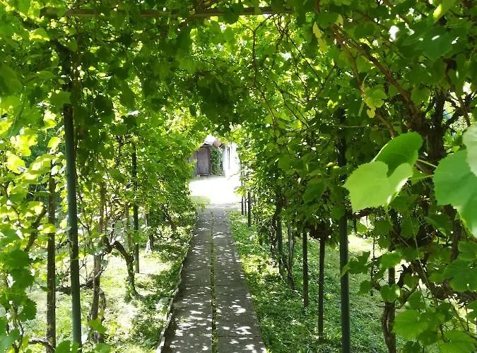 Holiday home Hermann